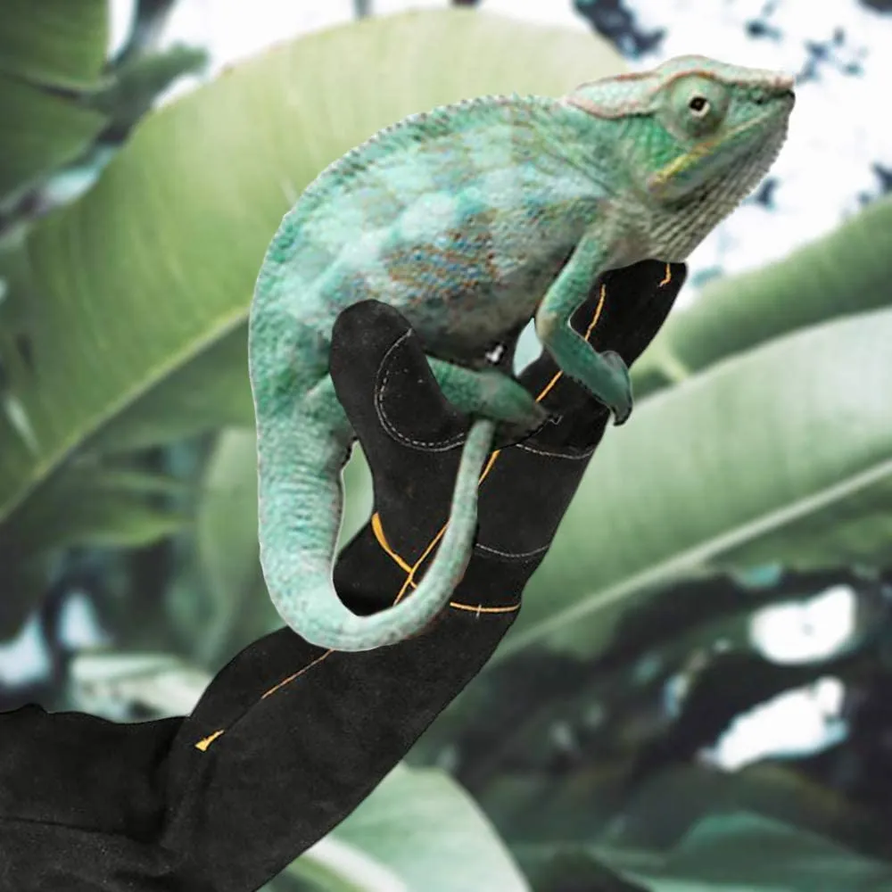 AOWPFVV Long Sleeve Thick Leather Animal Handling Glove Anti Scratch Protective Gloves for Training Dog Cat Bird Snake Parrot Lizard Wild Animals Reptiles,Bite Resistant Gloves