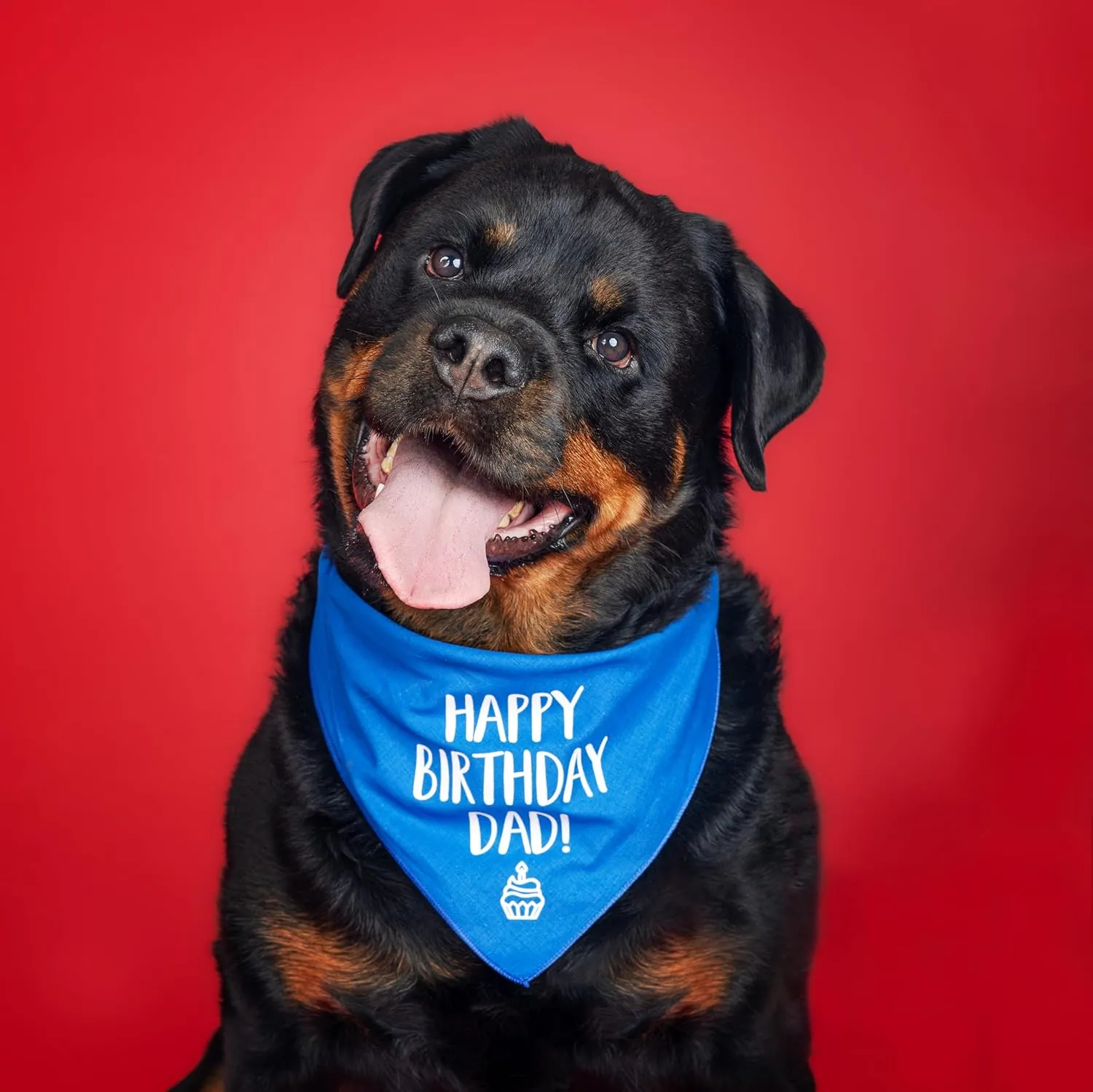 Happy Birthday Dad! Dog Bandana | 100% Cotton Adjustable Triangle | Made in USA | Birthday Party Supplies | Outfit Prop Photoshoot |Hot Pink, X-Small (171)