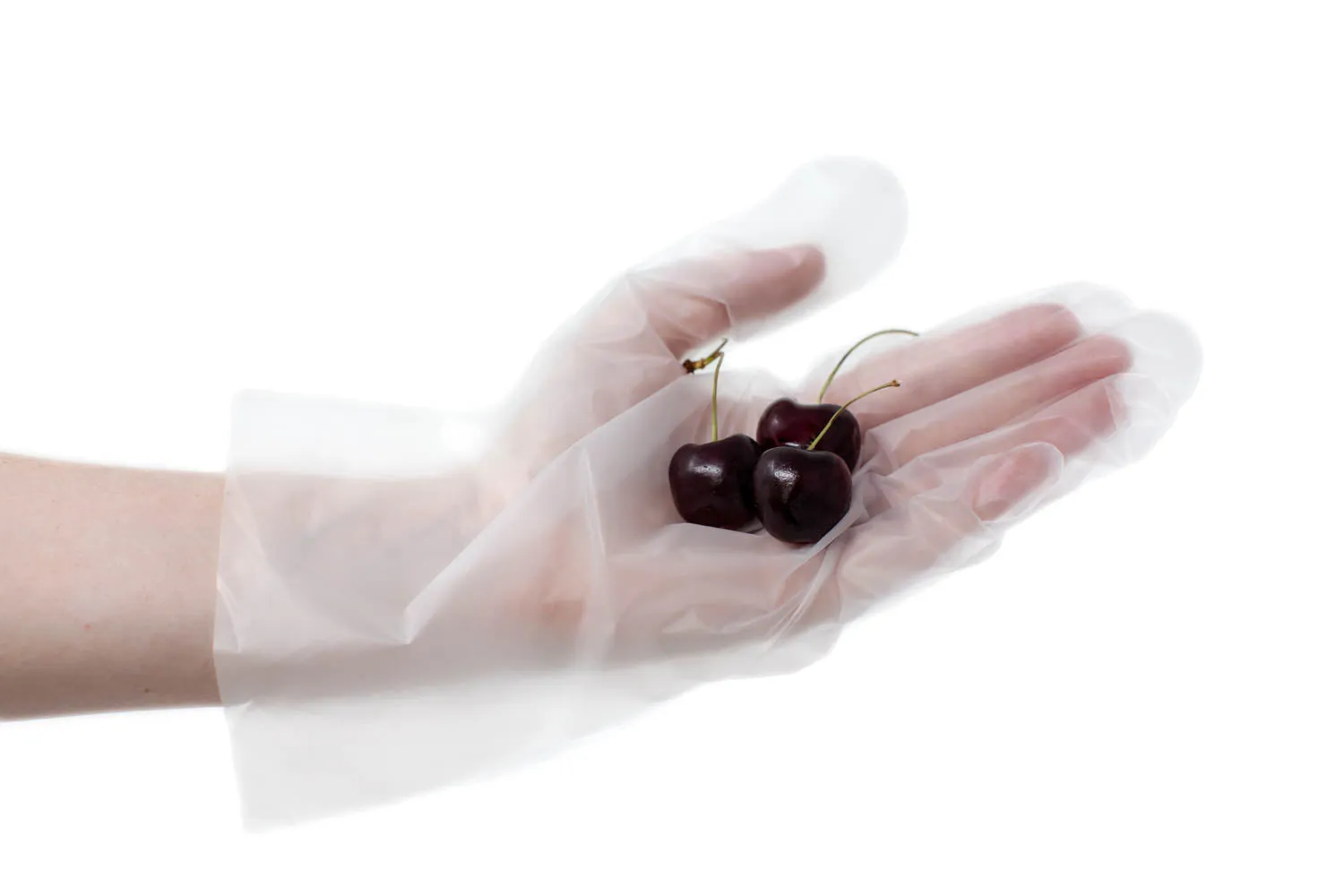 Hybrid Disposable Food Handling Long Cuff TPE Gloves, Powder & Latex Free