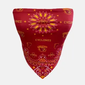 Iowa State Bandana Top